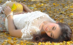 五元素音乐论坛